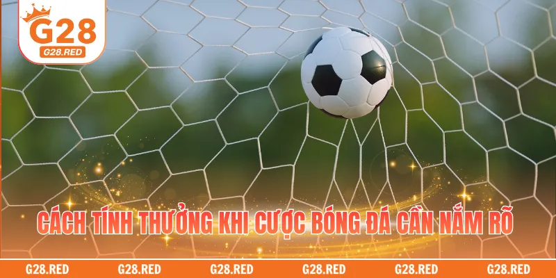 Cách tính thưởng khi cược bóng đá cần nắm rõ