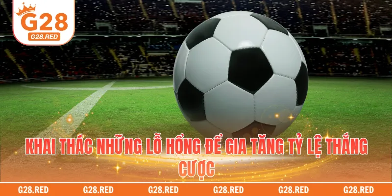 Khai thác những lỗ hổng để gia tăng tỷ lệ thắng cược