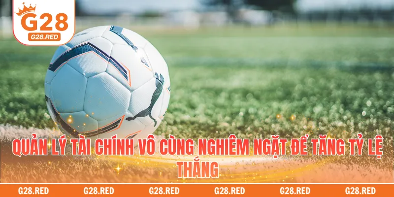 Quản lý tài chính vô cùng nghiêm ngặt để tăng tỷ lệ thắng