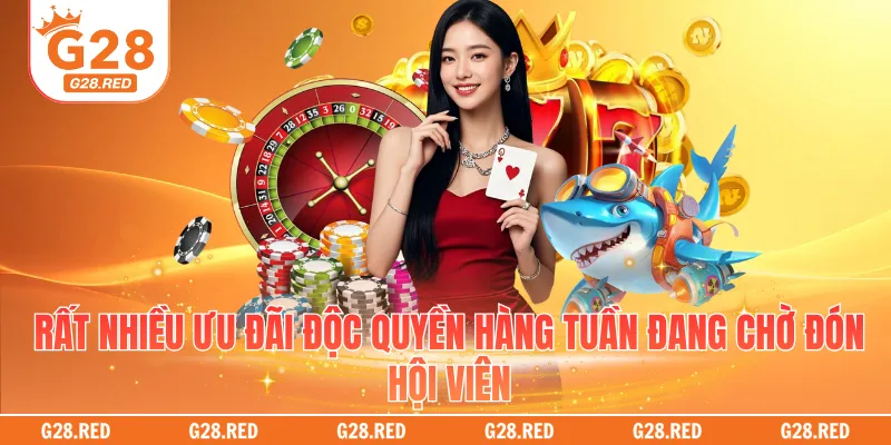 Rất nhiều ưu đãi độc quyền hàng tuần đang chờ đón hội viên
